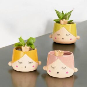 Principessa Portapiantina AD Emozioni